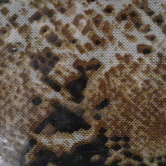 Snakeskin Mesh Bodysuit| Various | Black - Picture 3 of 4